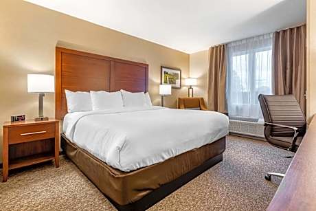 1 King Bed, Nonsmoking