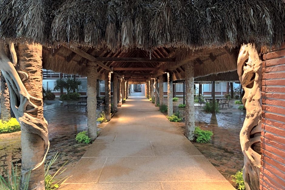Hotel Plaza Palmas
