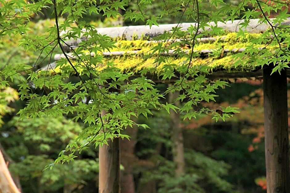 Nikko Hoshino Yado