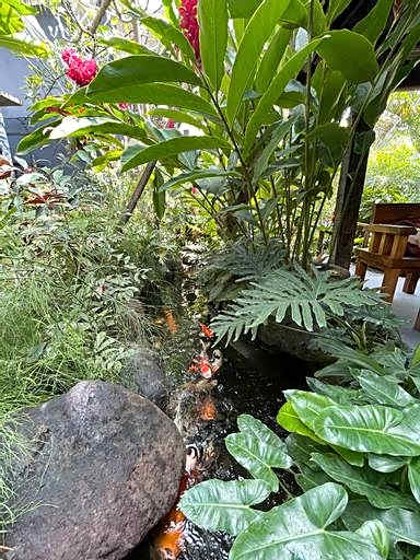 The Belong Guesthouse Canggu