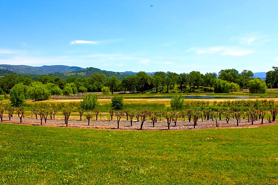 Super 8 by Wyndham Ukiah