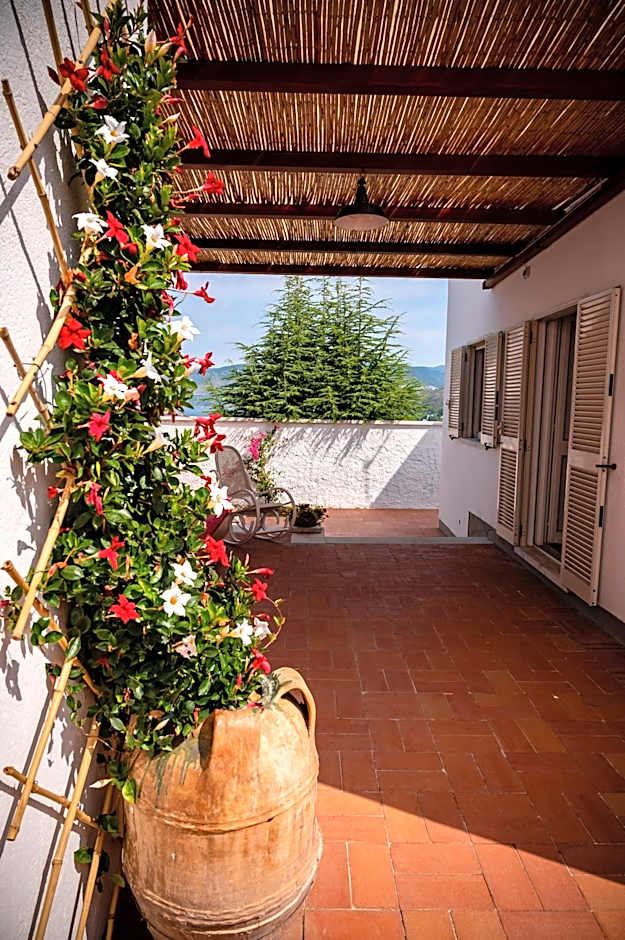 B&B Casabianca Palinuro