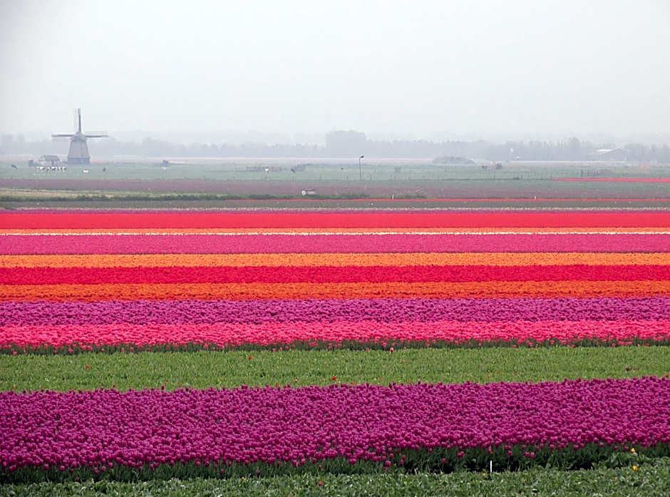 Nicolette Apartments