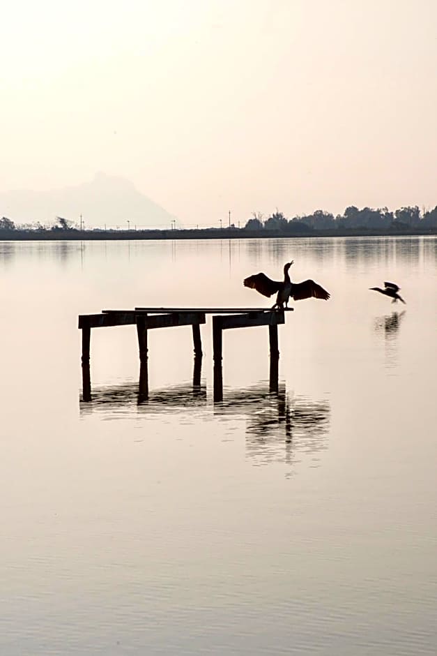 Eco House San Michele