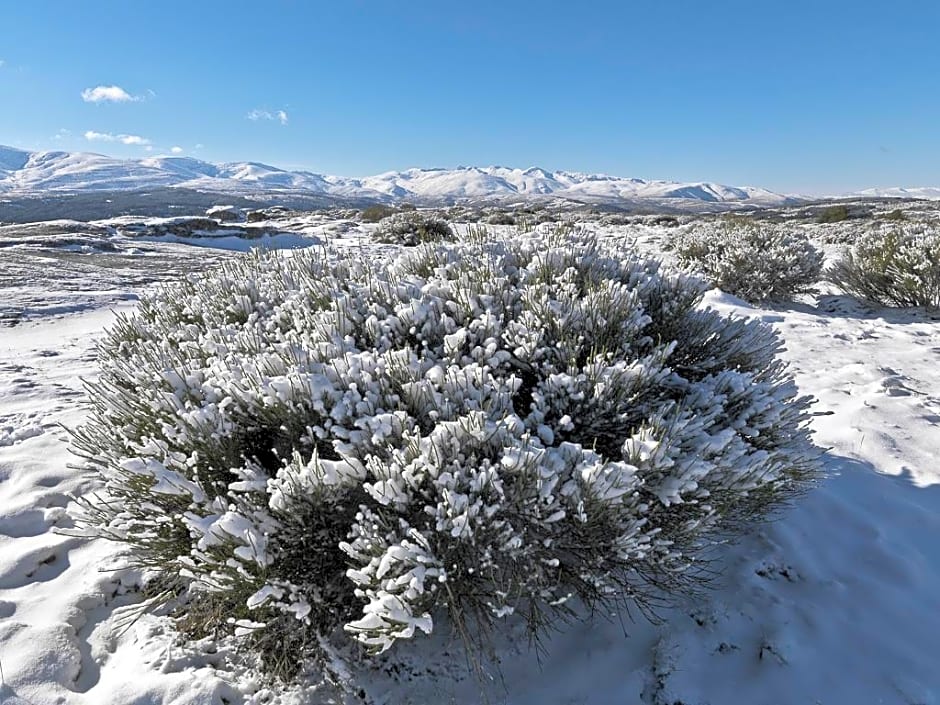 El Cerro - El Cerro I
