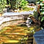 Pousada Recanto Ninho Verde Chalés