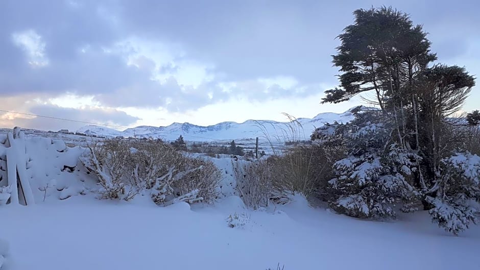Tigh Quiraing- Heather
