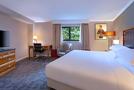 Premium Room, Guest room, 1 Queen