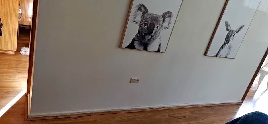 CAMPBELLTOWN HOLIDAY HOME 3 BED + FREE PARKING NCA039