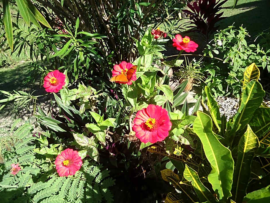 Pousada Aba da Serra