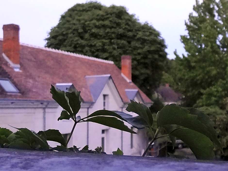Jardin de Canaan