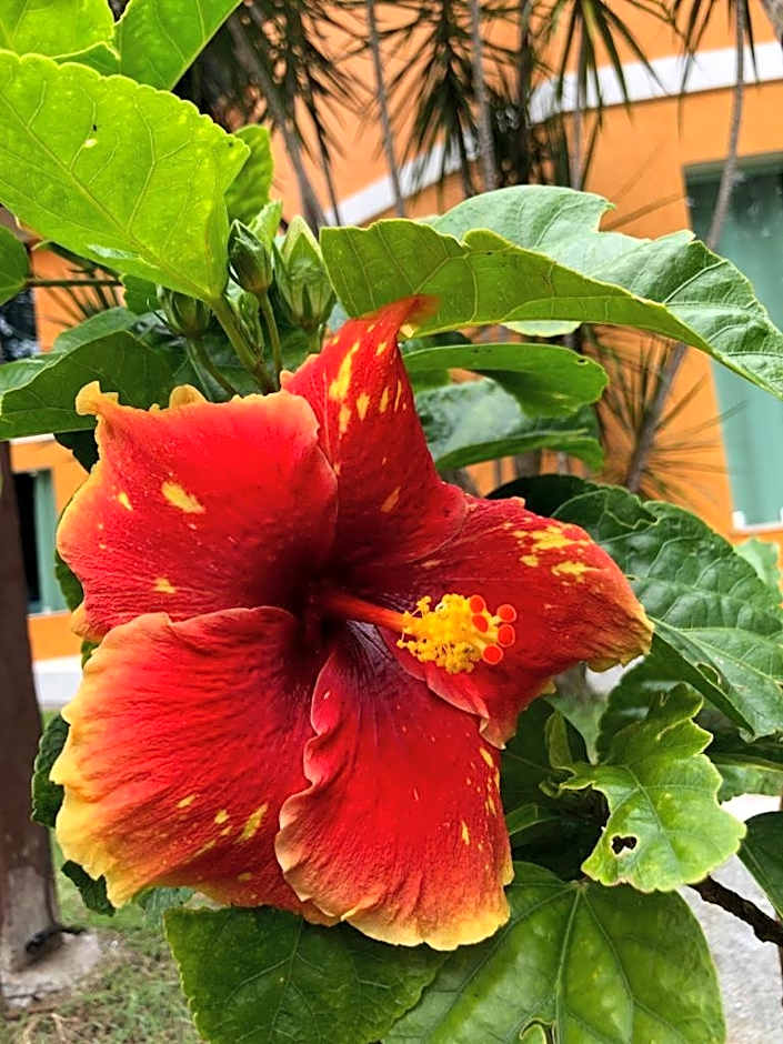 Hotel Morro De São Paulo