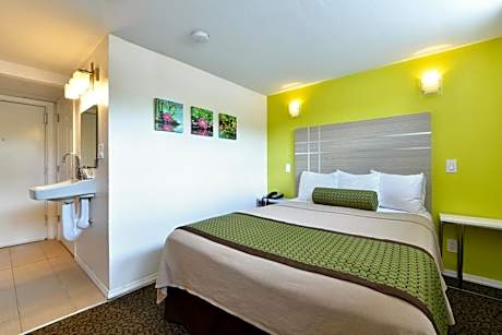 Single Room - Disability Access