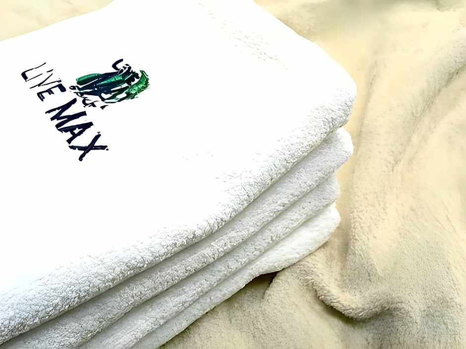 Hotel Livemax Budget Gunma Numata