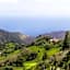 Mantis St Helena