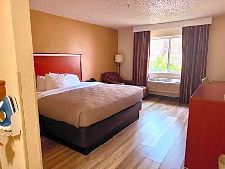 King Room - Disability Access - Non-Smoking
