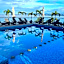 The Paramar Beachfront Boutique Hotel With Breakfast Included - Downtown Malecon