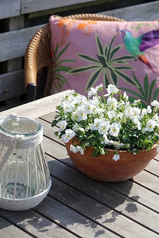 Hotel het Anker van Texel