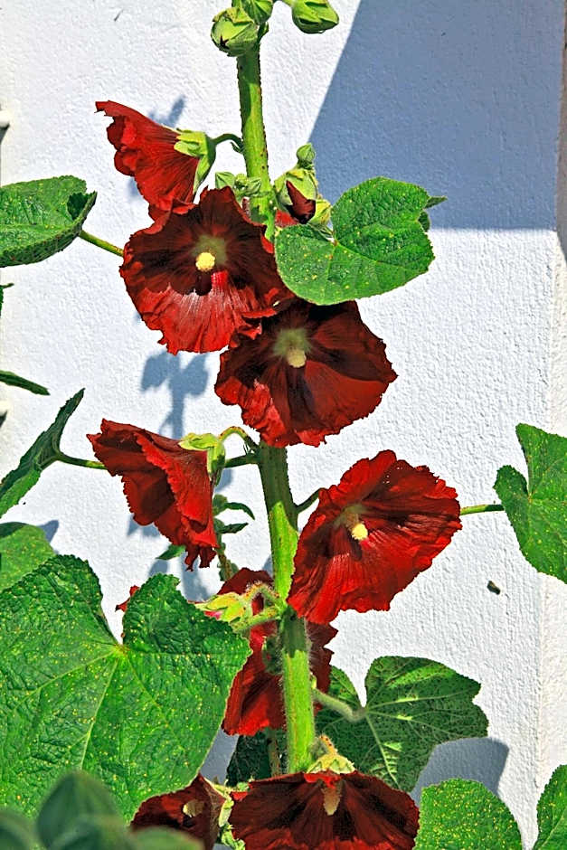 La Chaize - Villa, Suites & Spa