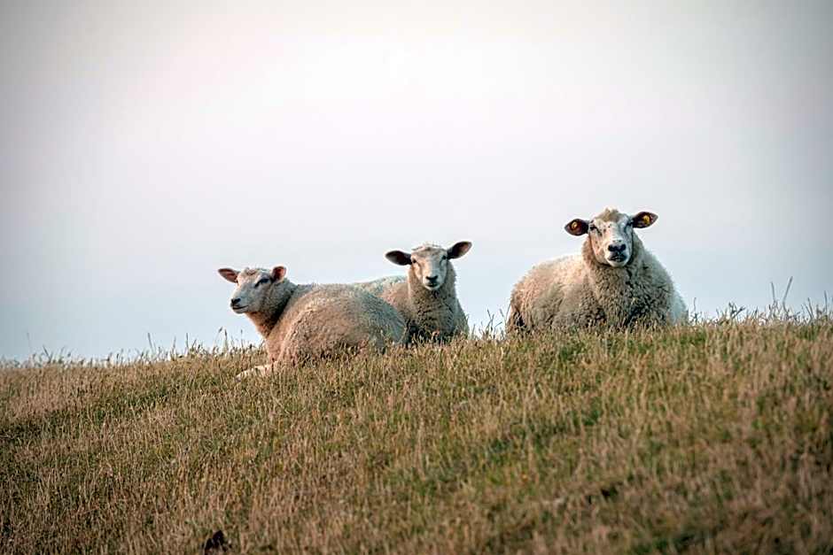 Kirchspielkrug Landhotel & Restaurant