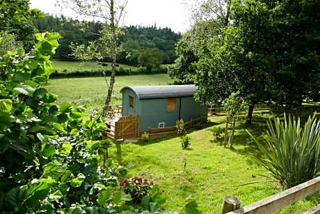 The Lookout Shepherd's Hut