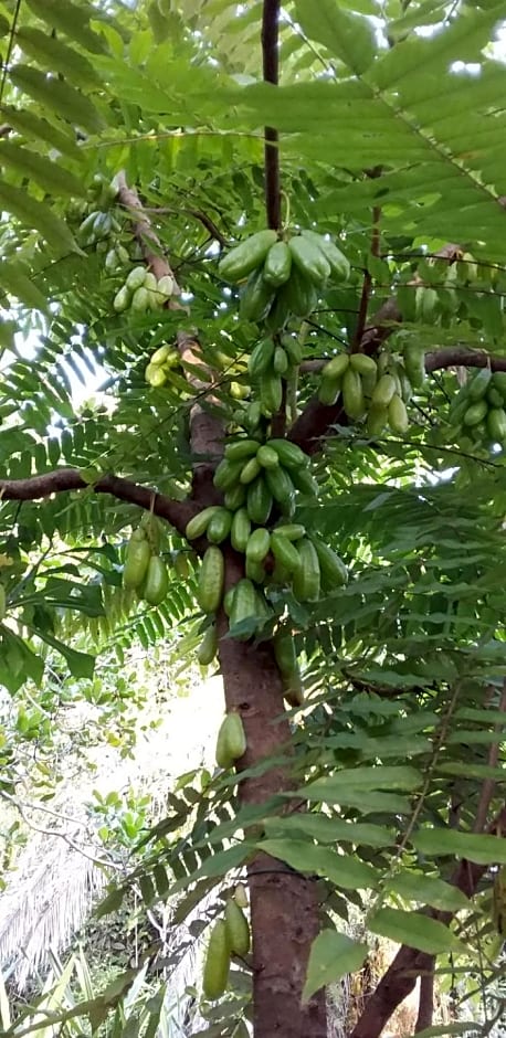 Pousada Aldeia de Morere