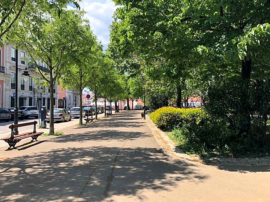 Botanic Views Guest House