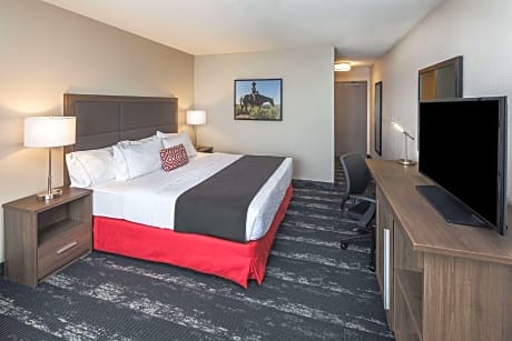 1 King Bed Non-Smoking Room