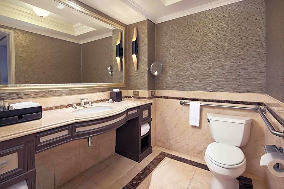 The Ritz-Carlton Santiago