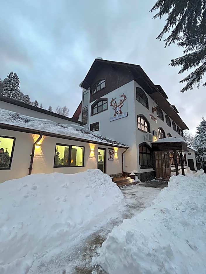 Cerbul Chalét Accommodation & Wellness