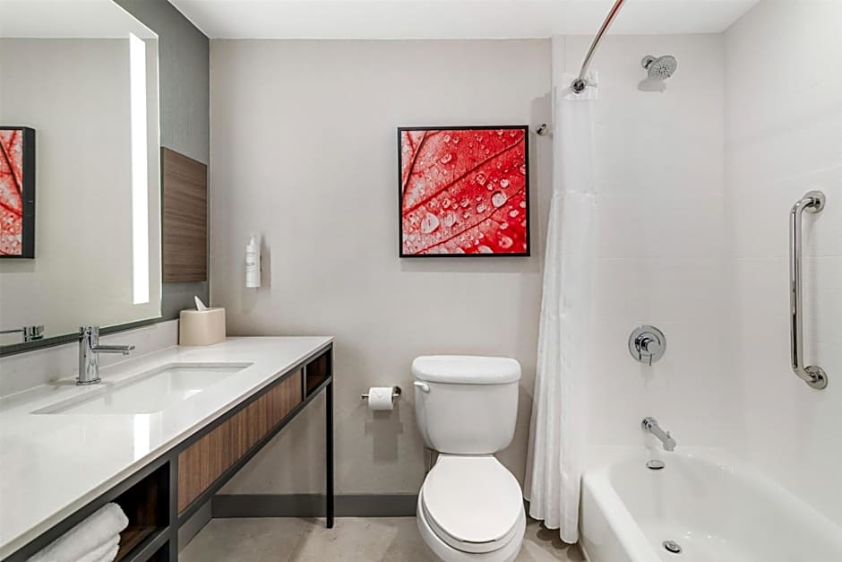Hilton Garden Inn Albany/Suny Area