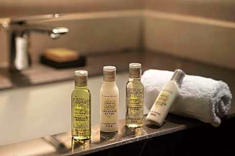 Deluxe Twin Guest Room