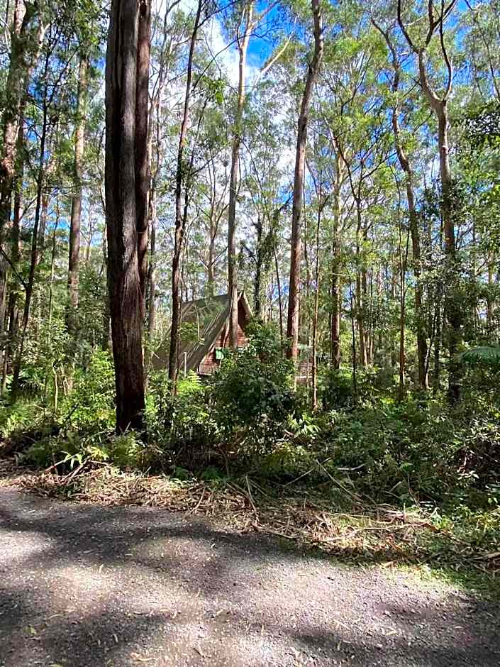 Springbrook Mountain Chalets