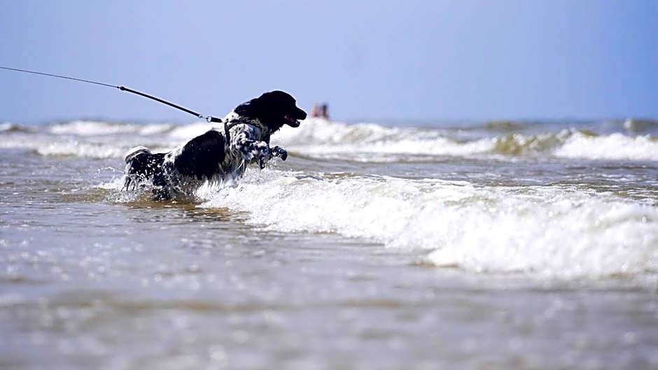 Paal 8 Hotel aan Zee