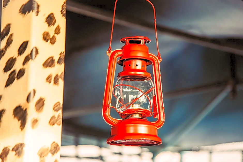 The Tree Top Village Urban Glamping