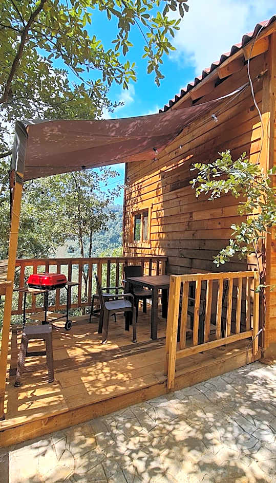Mariposa - Cabañas Puerto del Zopilote