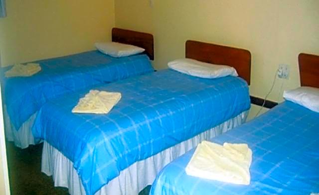 Glow Worm Motel