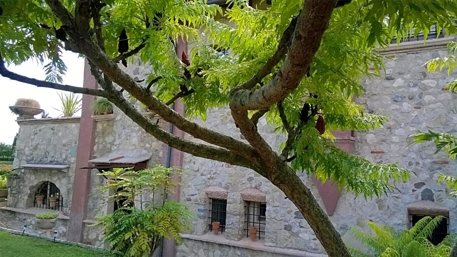 Bed and Breakfast Posserle