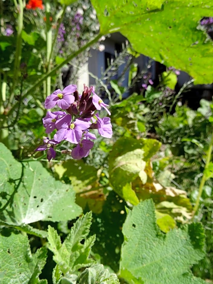 L'escalier des rêves