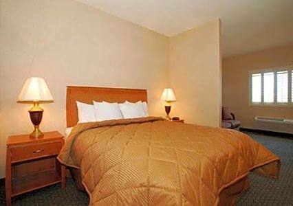 Deluxe King Suite with Sitting Area and Sofa Bed - Non-Smoking