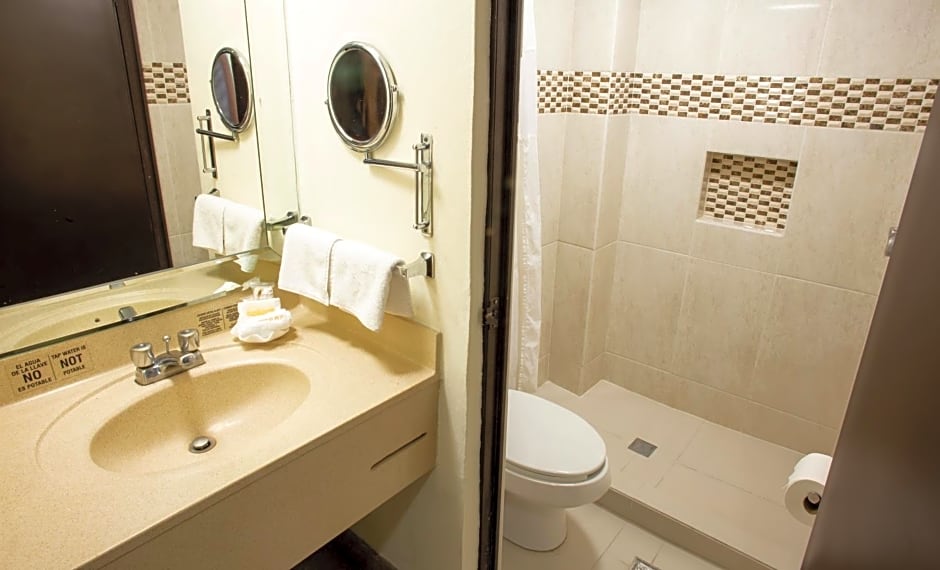 Hotel Plaza Calzada
