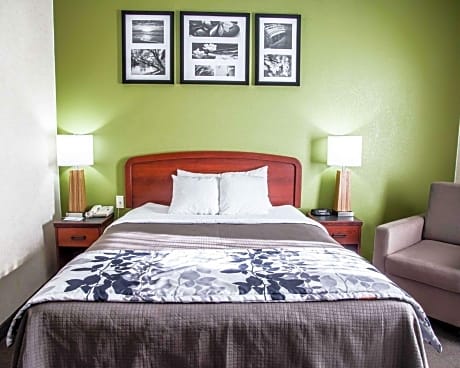 1 Double Bed, Nonsmoking, Accessible