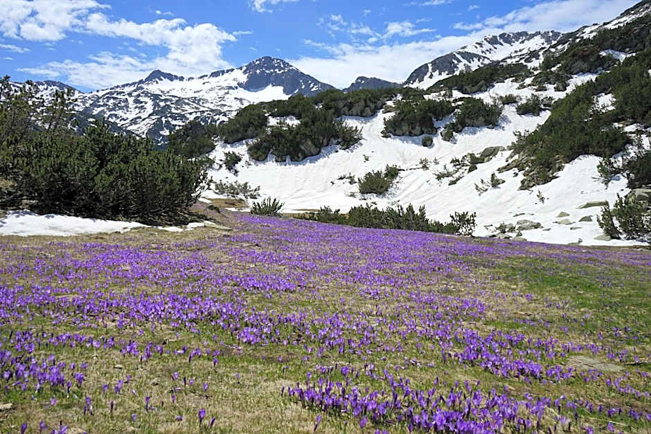 Evelina Palace Hotel