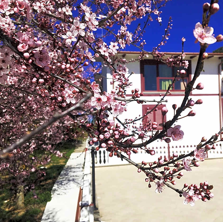 Il Profumo della Natura B&B