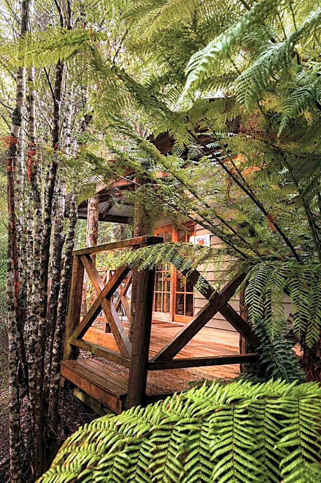 Cradle forest inn