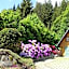 Hollhouse - Bed & Breakfast