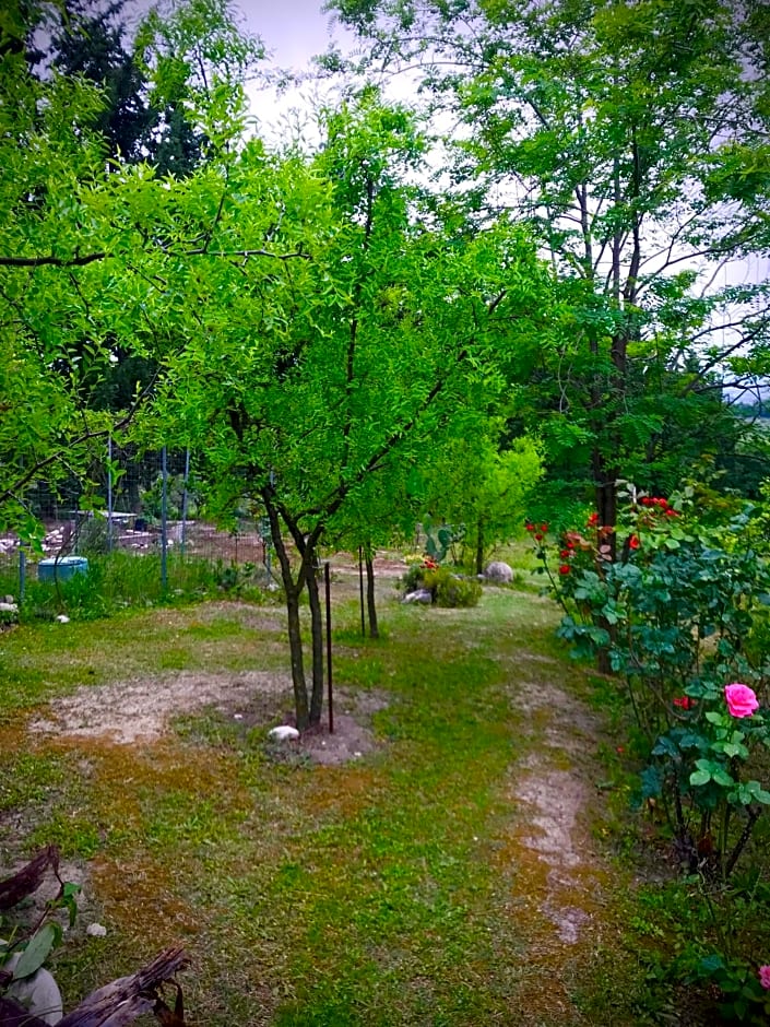 B&B Prato San Lorenzo