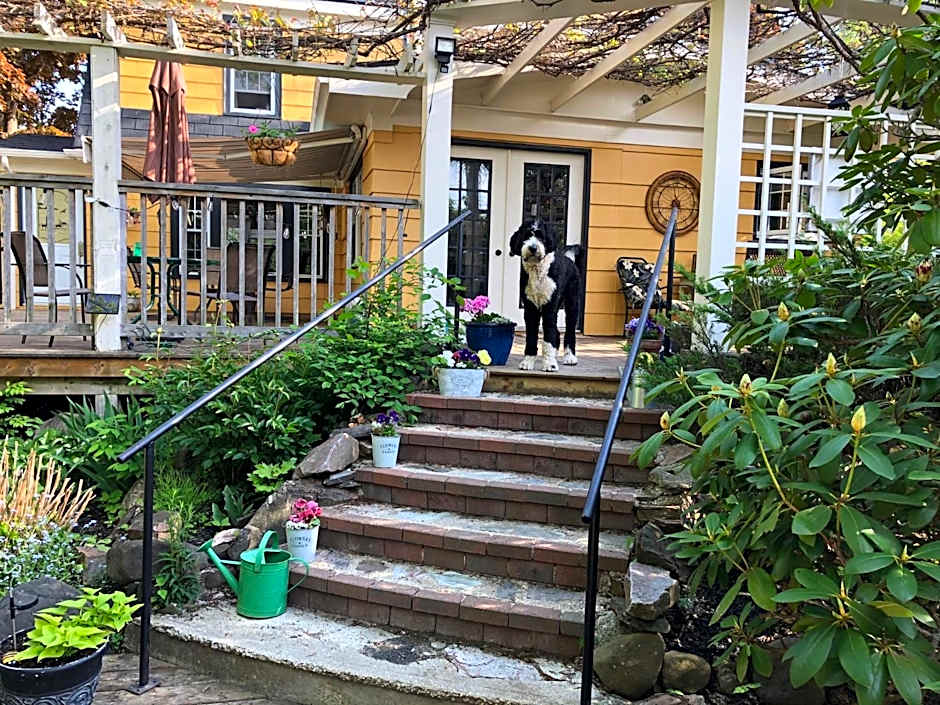 The Stella Rose B&B