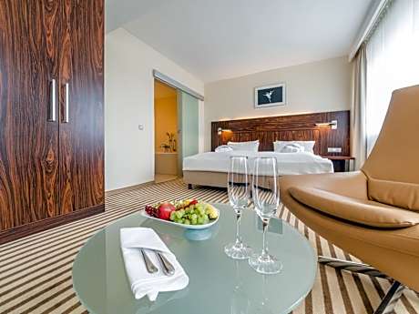 Superior Room Opera View