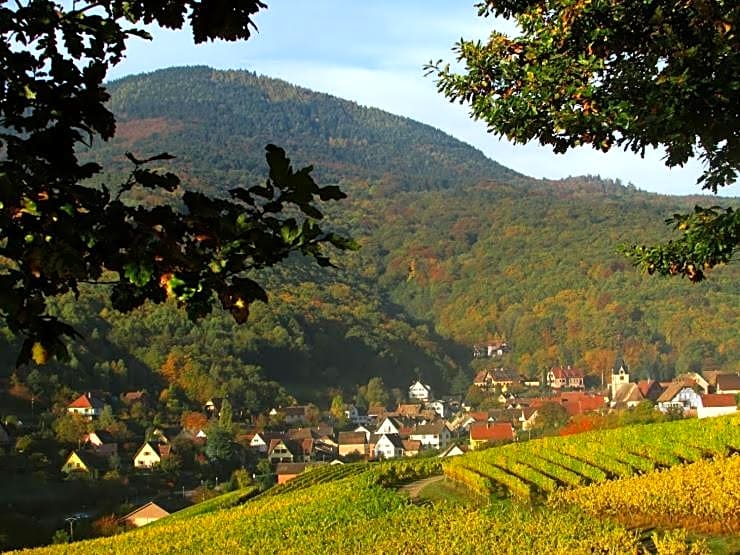 Chambre du Vigneron - Domaine Léon BLEESZ